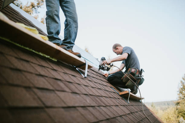 Best Roof Inspection  in USA